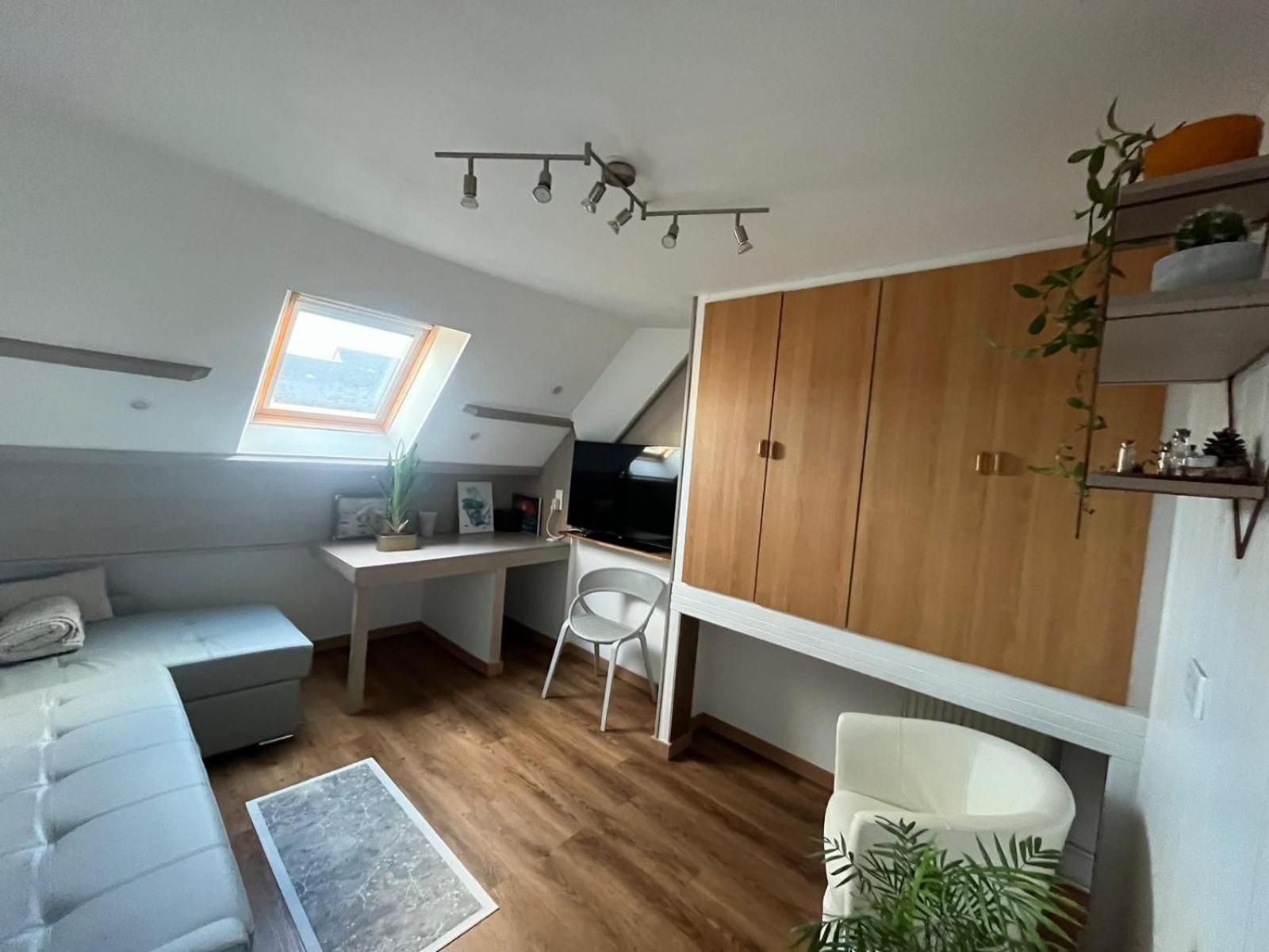 Appartement Type Loft Avec Terrasse Шербур-ан-Котантен Экстерьер фото