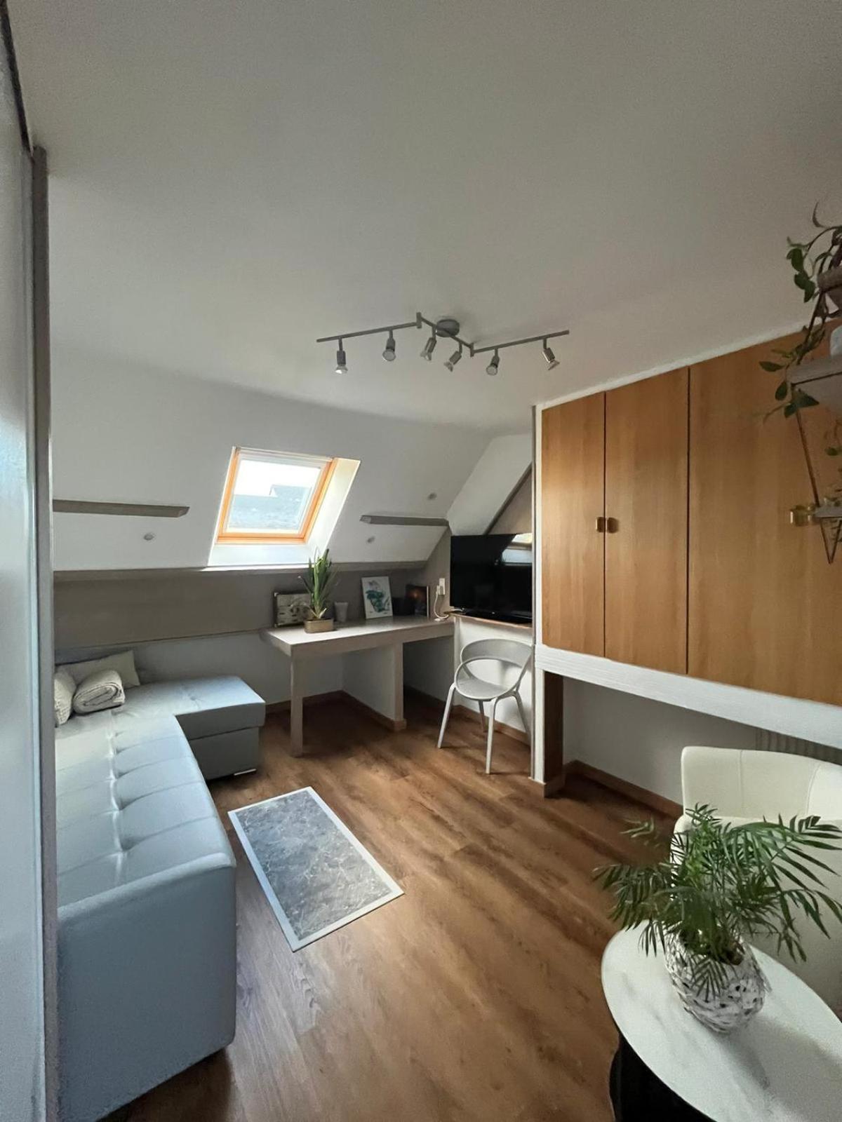 Appartement Type Loft Avec Terrasse Шербур-ан-Котантен Экстерьер фото
